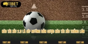 Kèo Tài Xỉu 2.5 Là Gì? Hướng Dẫn Cược Kèo Tài Xỉu Thắng Lớn