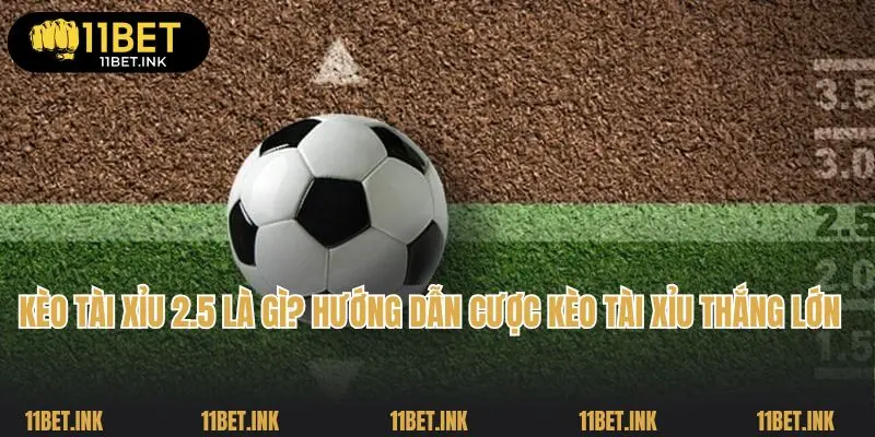 Kèo Tài Xỉu 2.5 Là Gì? Hướng Dẫn Cược Kèo Tài Xỉu Thắng Lớn